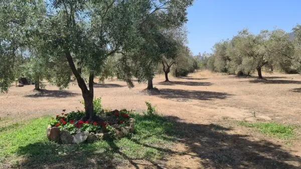 Immagine per Rustico/Casale in vendita a Villasalto Ex strada statale 125 