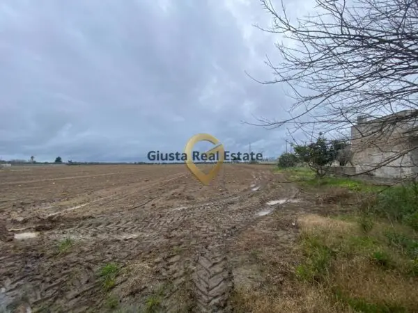 Rustico/Casale strada Colemi 57, Torchiarolo