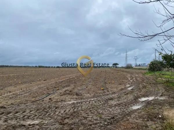 Rustico/Casale strada Colemi 57, Torchiarolo