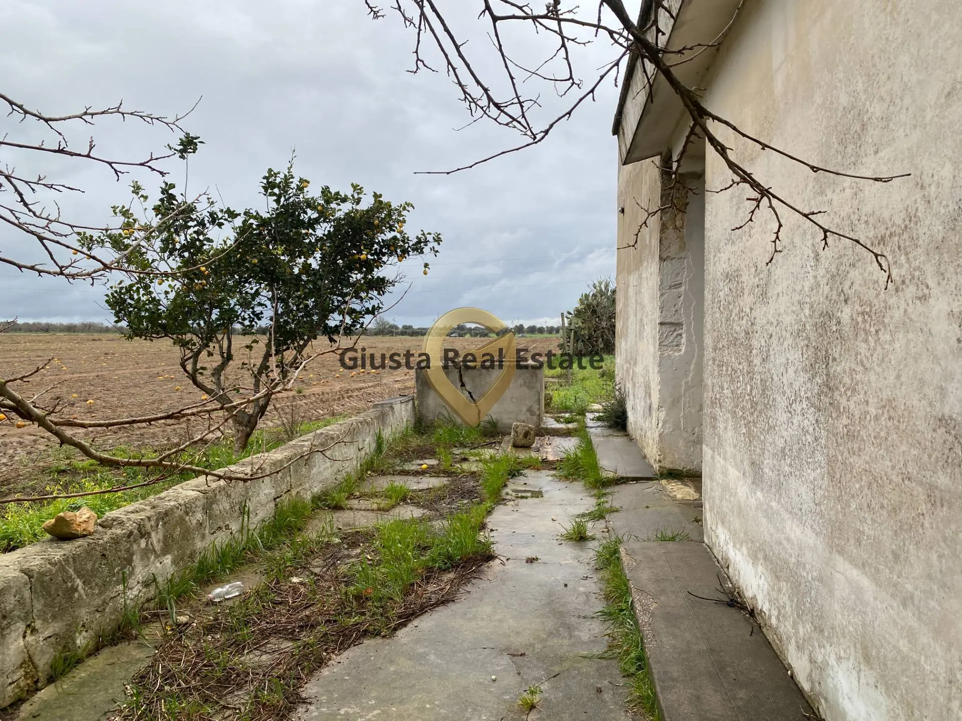 Immagine per Rustico/Casale in vendita a Torchiarolo Strada Colemi 57