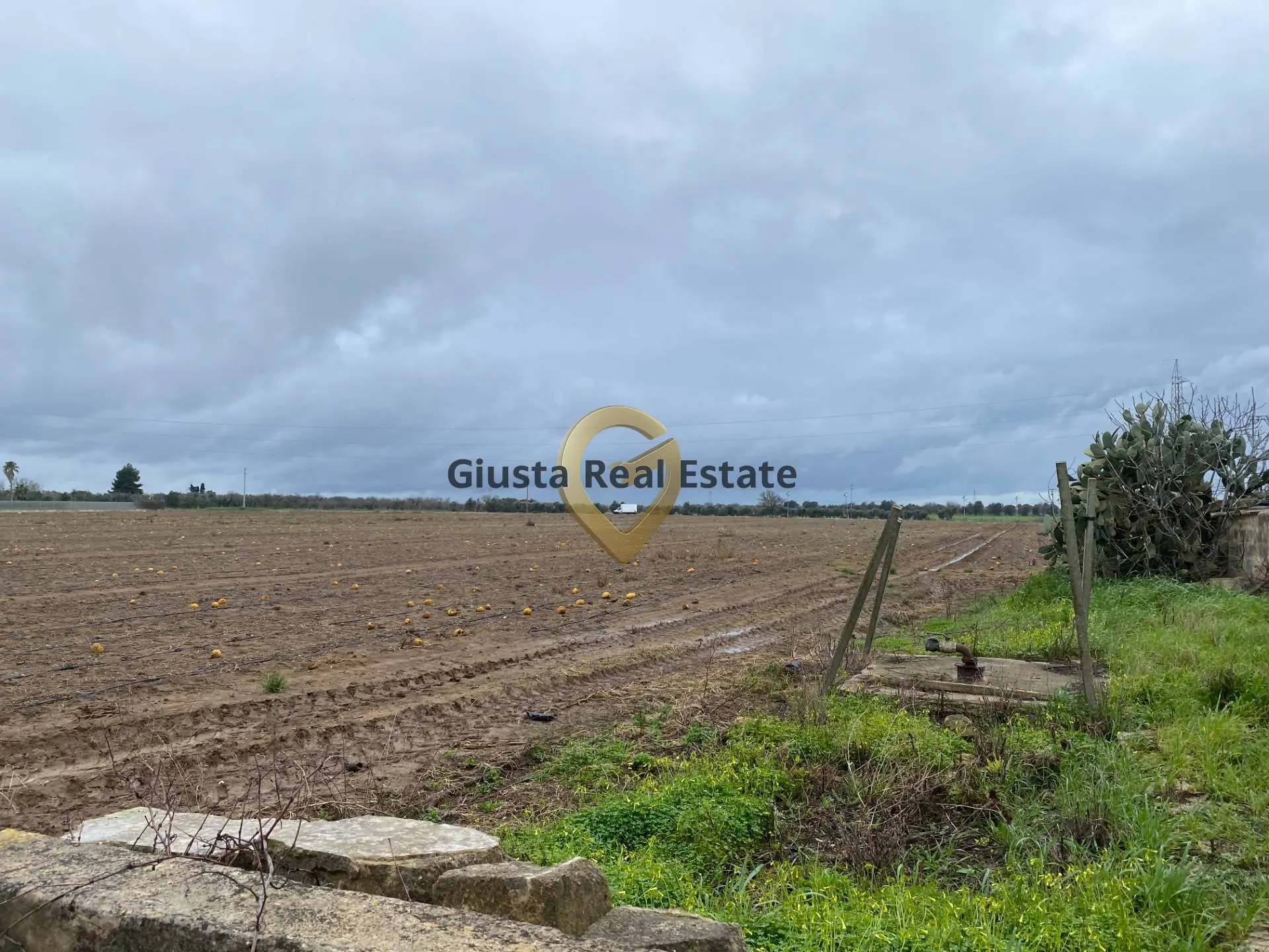 Immagine per Rustico/Casale in vendita a Torchiarolo Strada Colemi 57