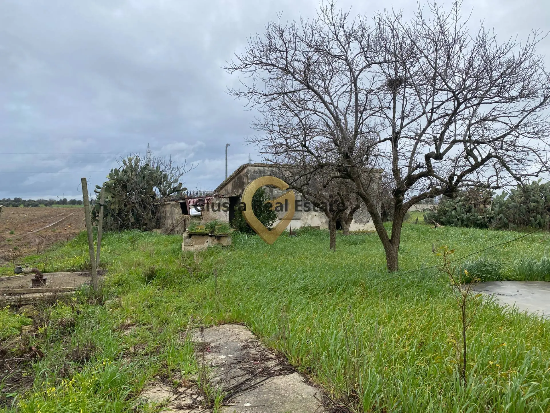 Immagine per Rustico/Casale in vendita a Torchiarolo Strada Colemi 57