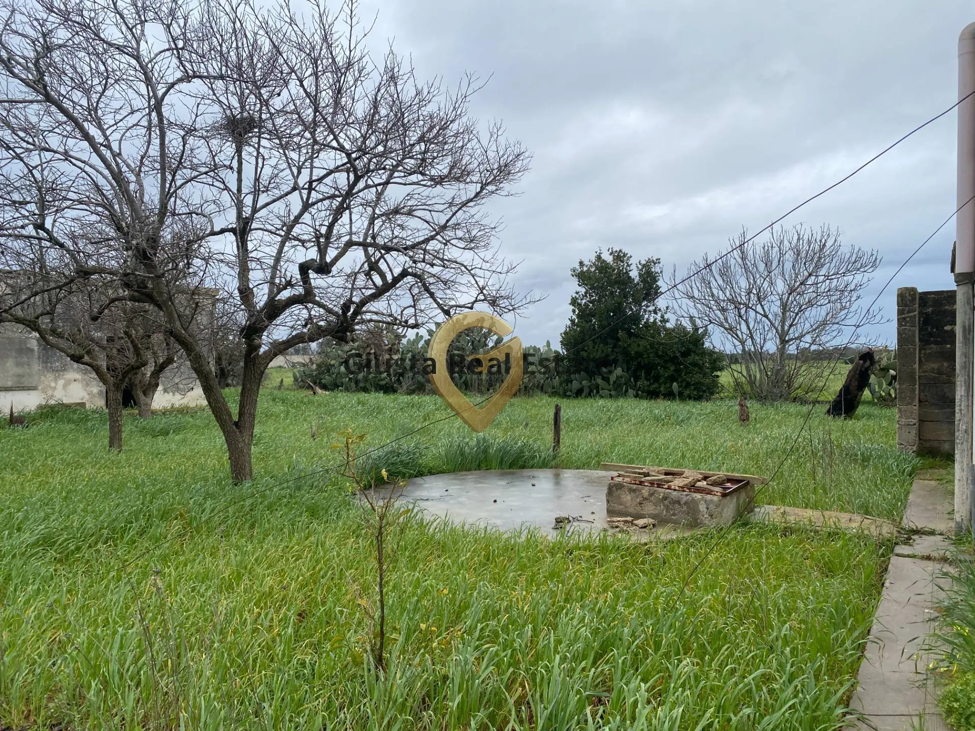 Immagine per Rustico/Casale in vendita a Torchiarolo Strada Colemi 57