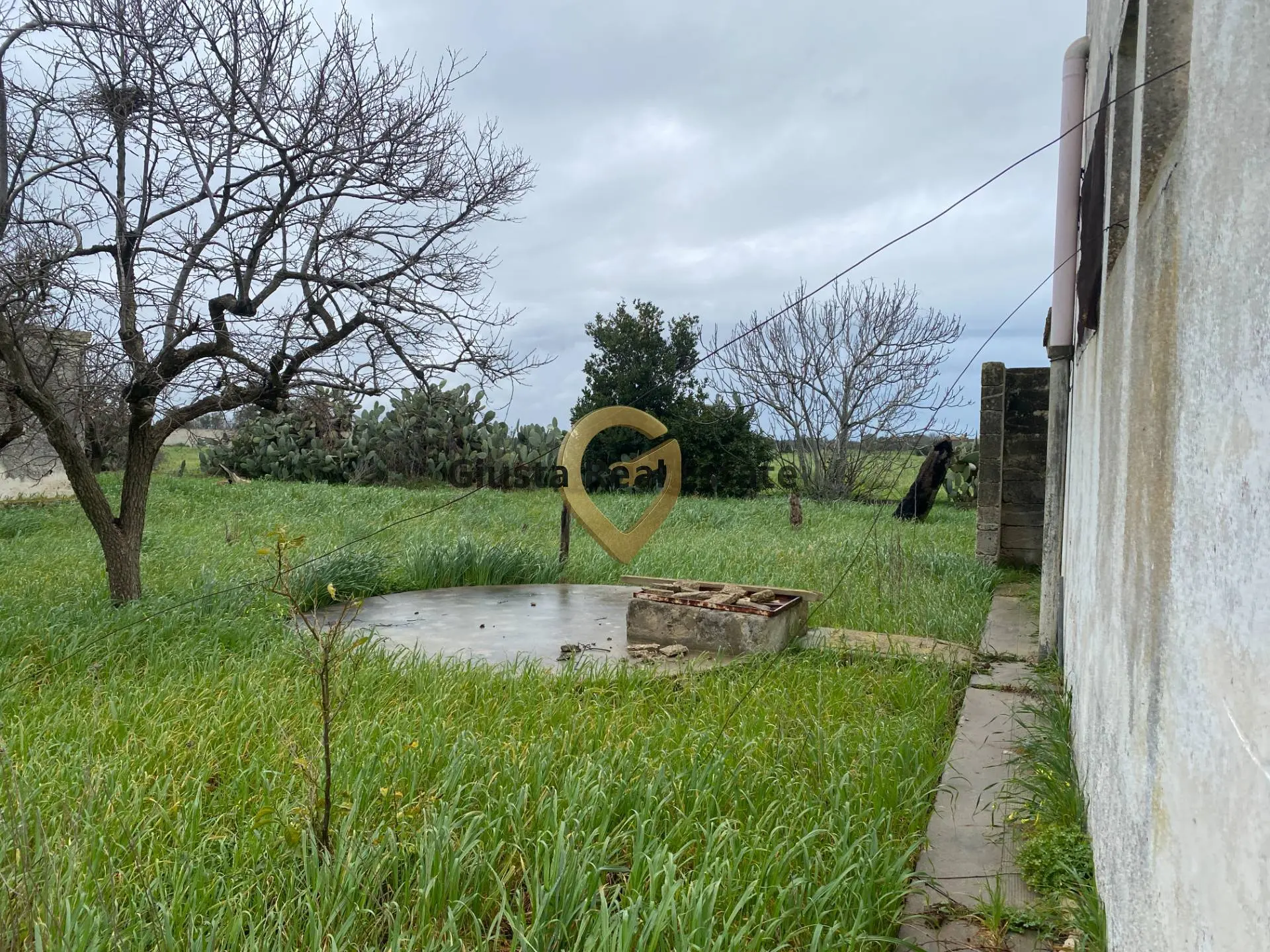 Immagine per Rustico/Casale in vendita a Torchiarolo Strada Colemi 57