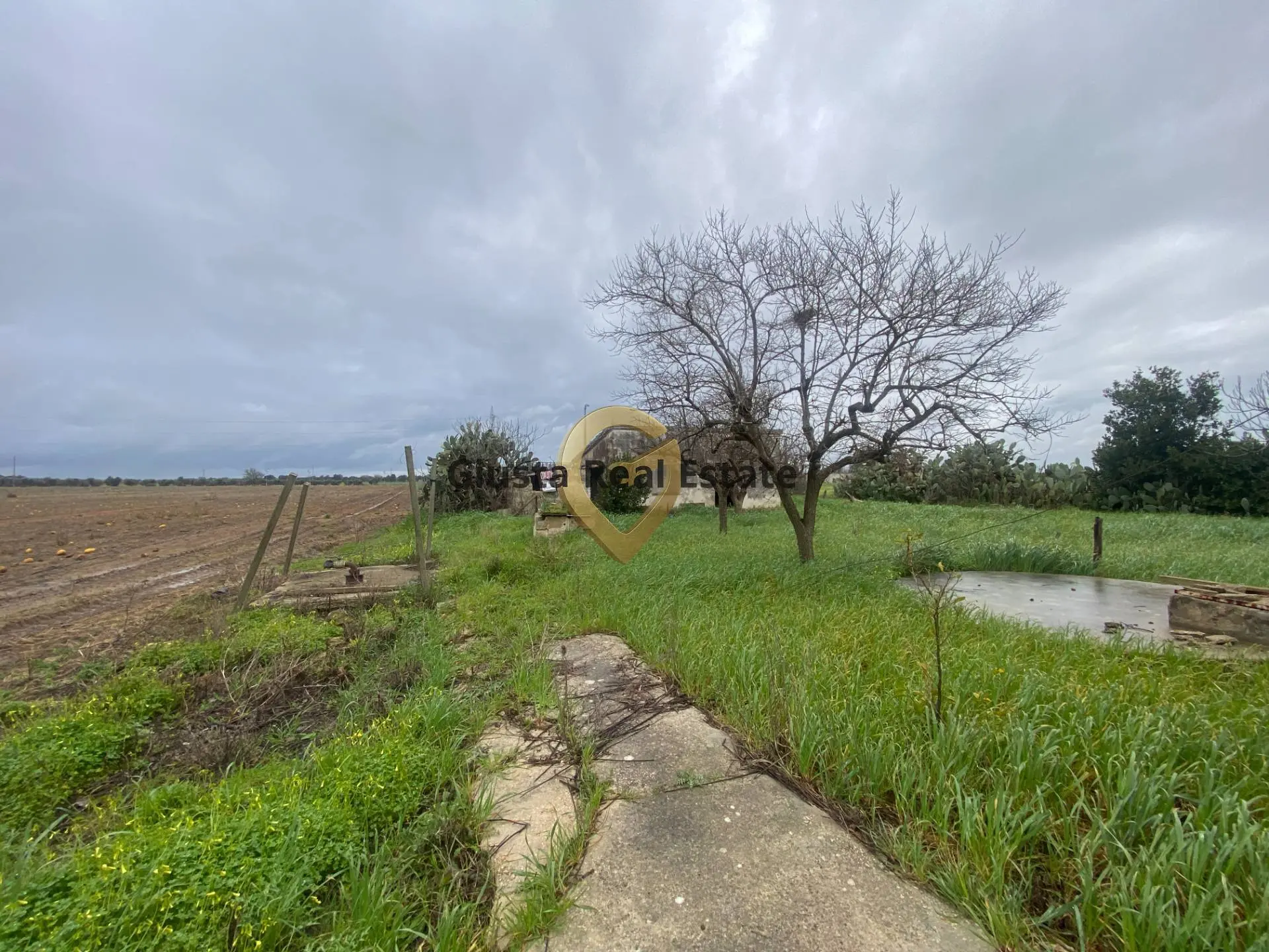 Immagine per Rustico/Casale in vendita a Torchiarolo Strada Colemi 57