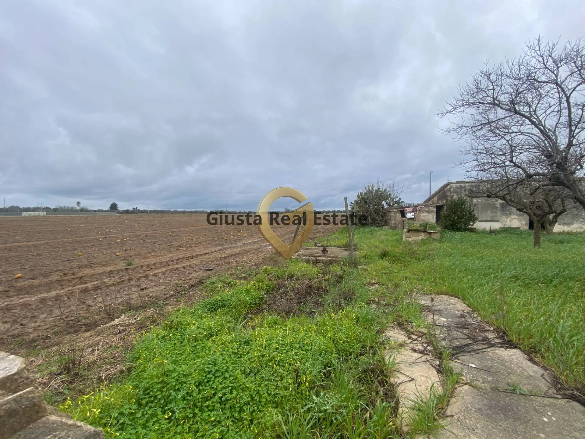 Immagine per Rustico/Casale in vendita a Torchiarolo Strada Colemi 57