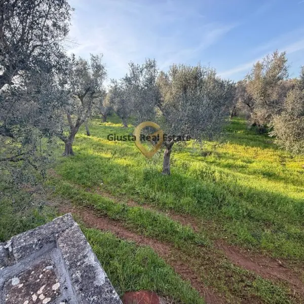 Villa via Contrada Specchia 3, Latiano