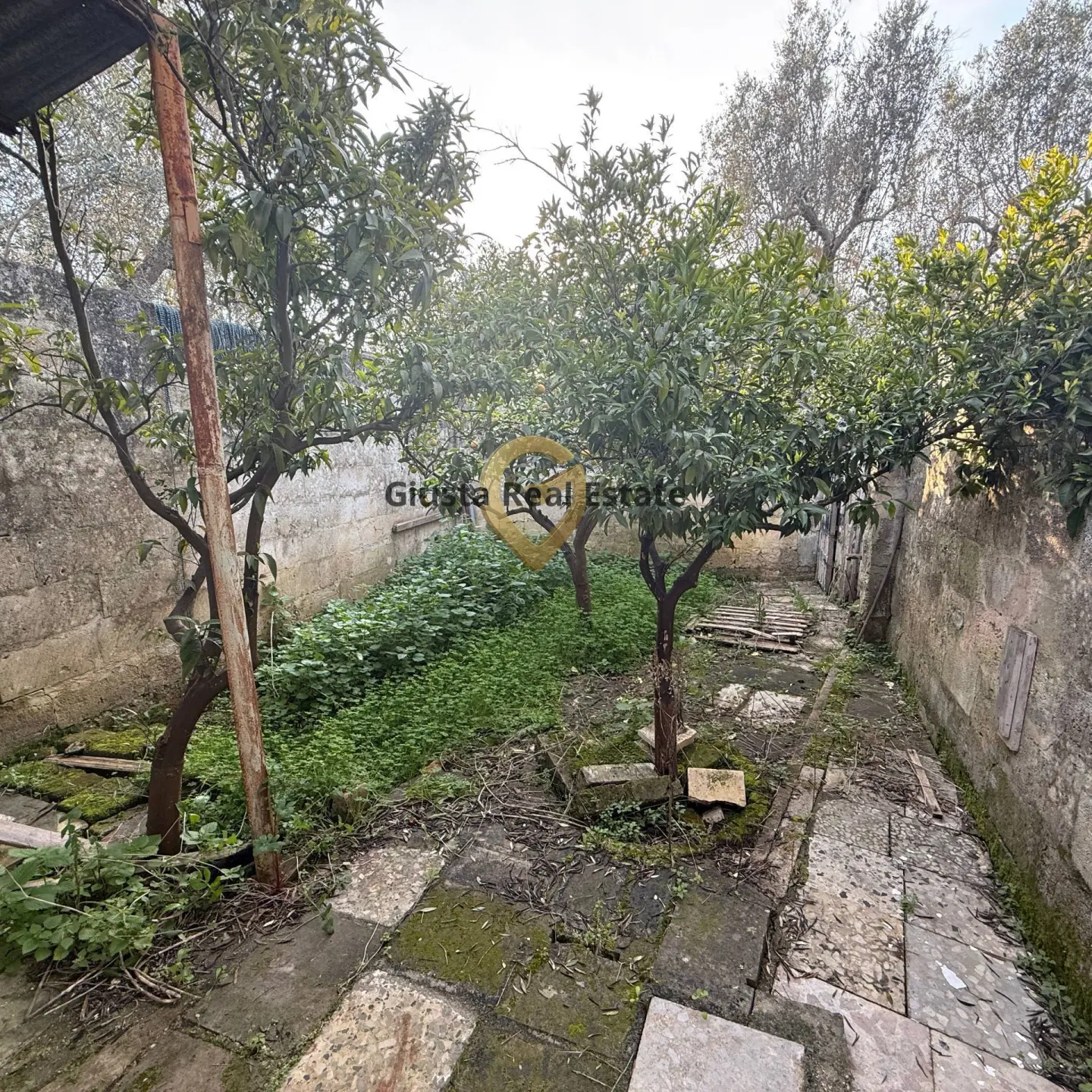 Immagine per Villa in vendita a Latiano contrada specchia 3