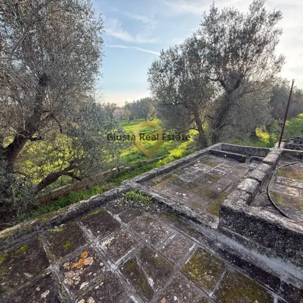 Immagine per Villa in vendita a Latiano contrada specchia 3
