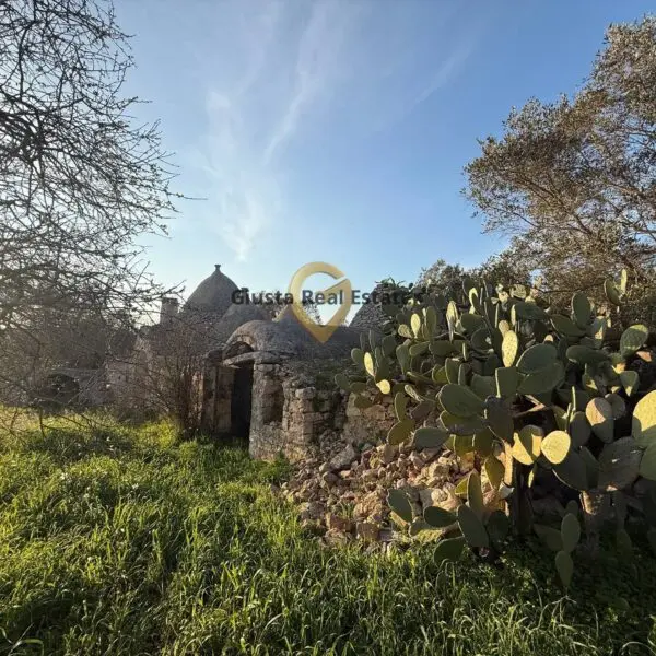 Immagine per Appartamento in vendita a Vico del Gargano Contrada Sardella 