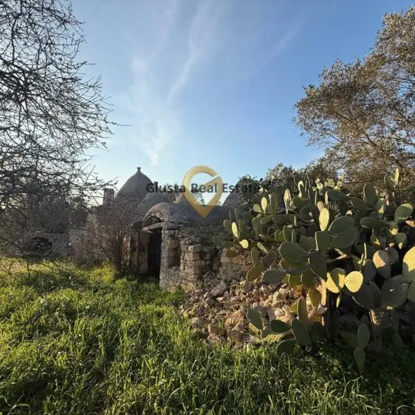 Immagine per Appartamento in vendita a Vico del Gargano Contrada Sardella 