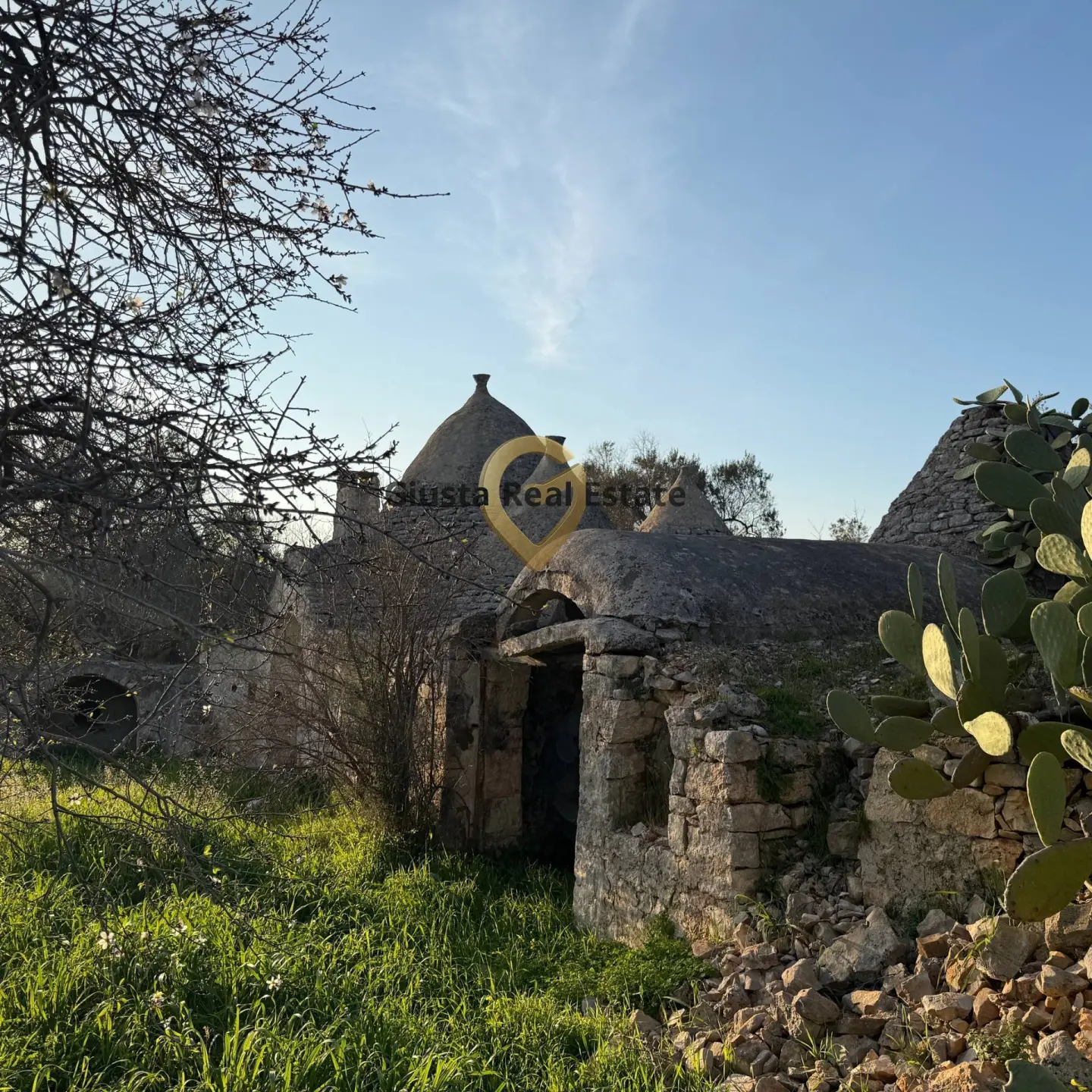 Immagine per Appartamento in vendita a Vico del Gargano Contrada Sardella 