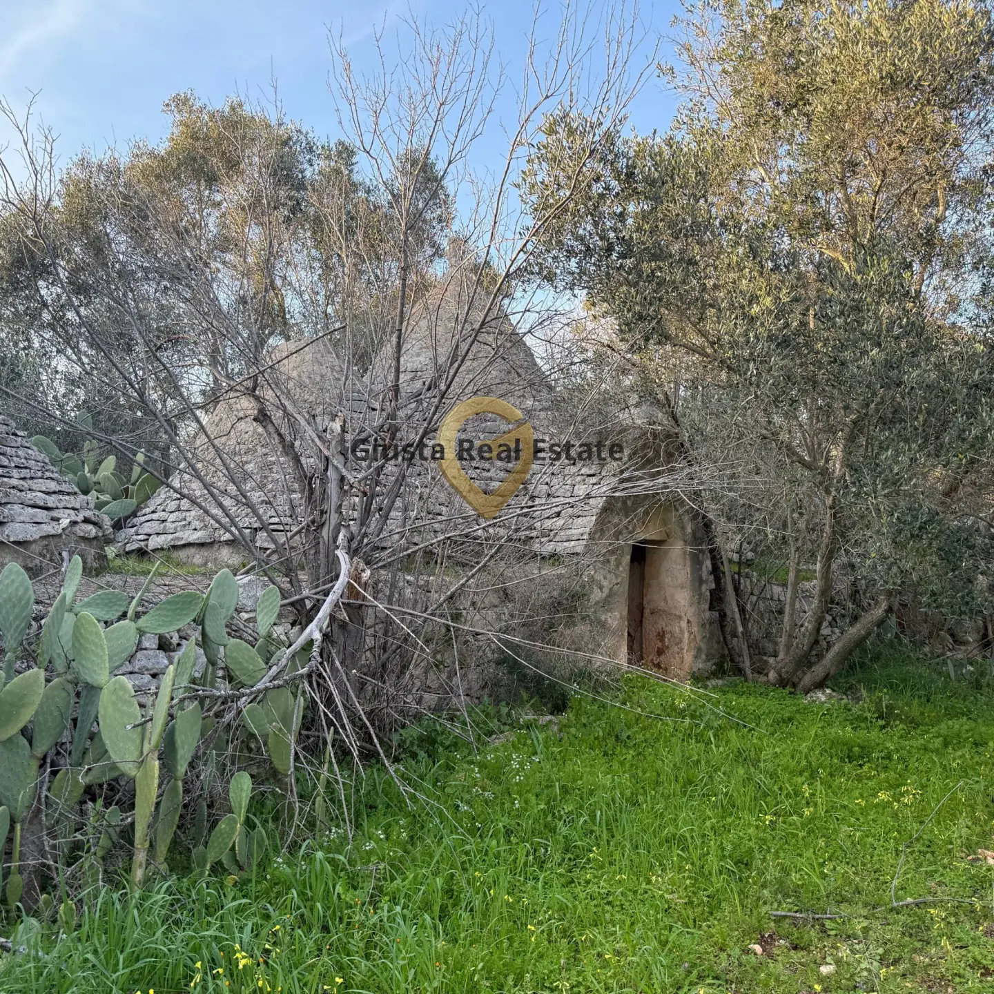 Immagine per Appartamento in vendita a Vico del Gargano Contrada Sardella 