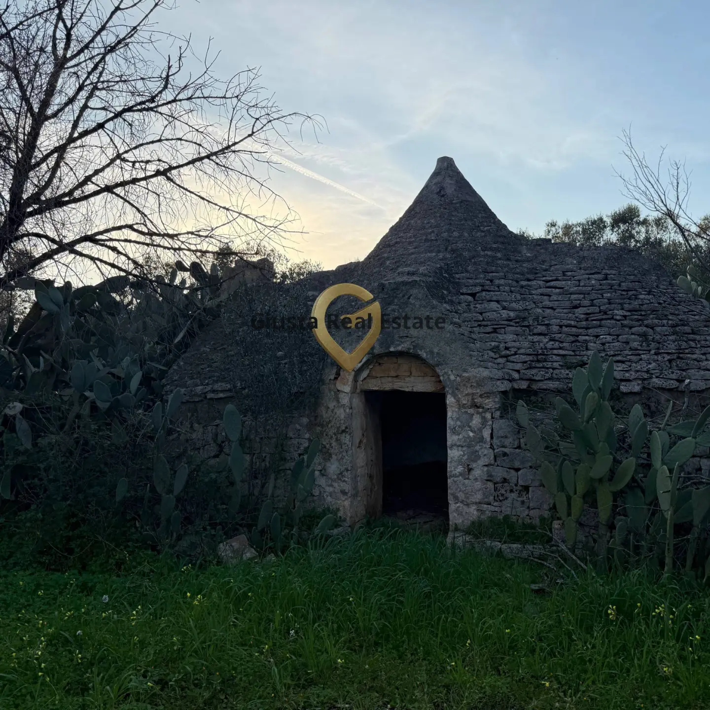 Immagine per Appartamento in vendita a Vico del Gargano Contrada Sardella 