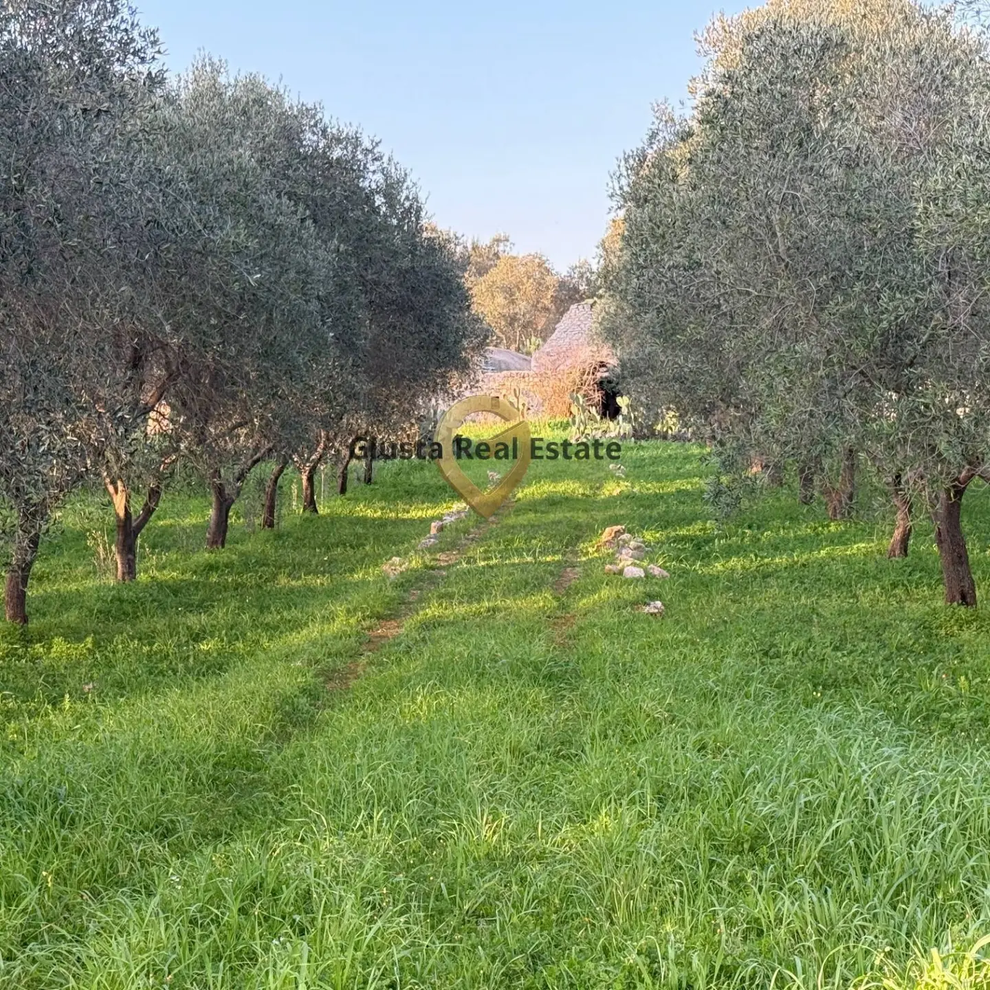 Immagine per Appartamento in vendita a San Michele Salentino Contrada Sardella 