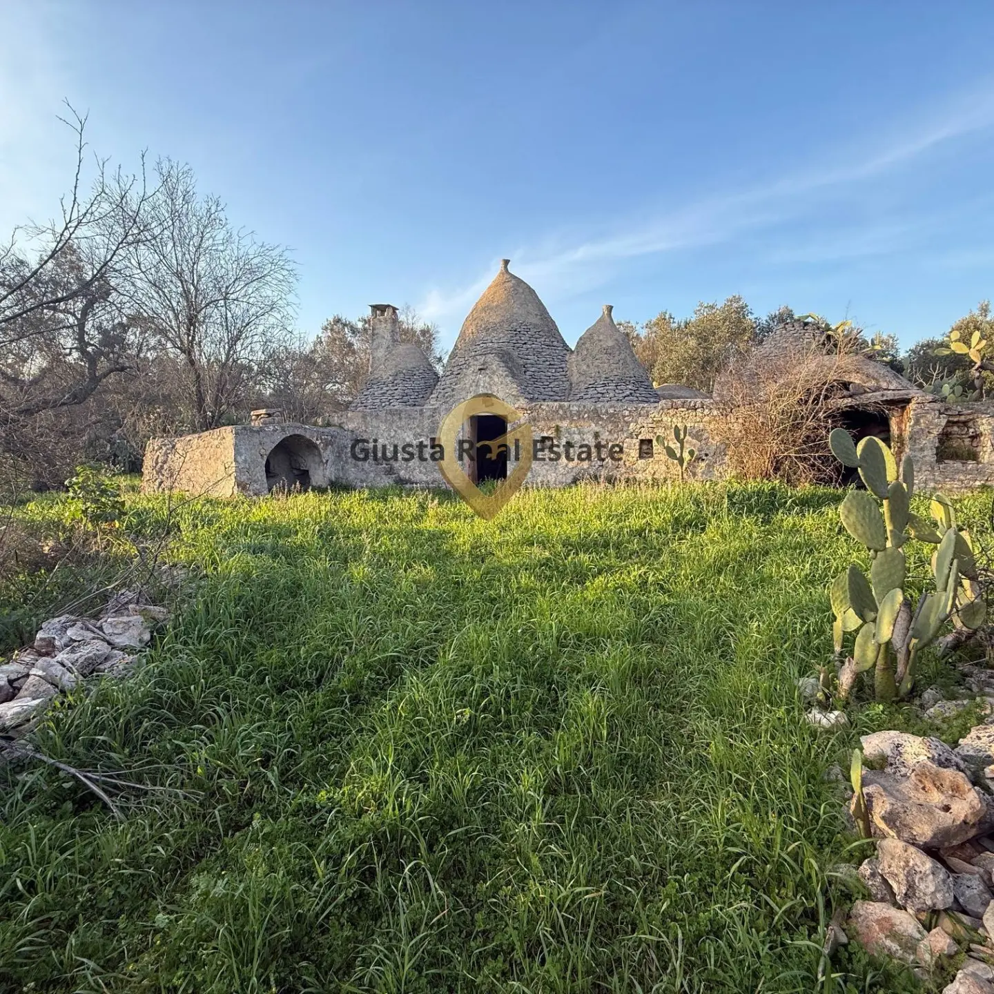 Immagine per Appartamento in vendita a San Michele Salentino Contrada Sardella 