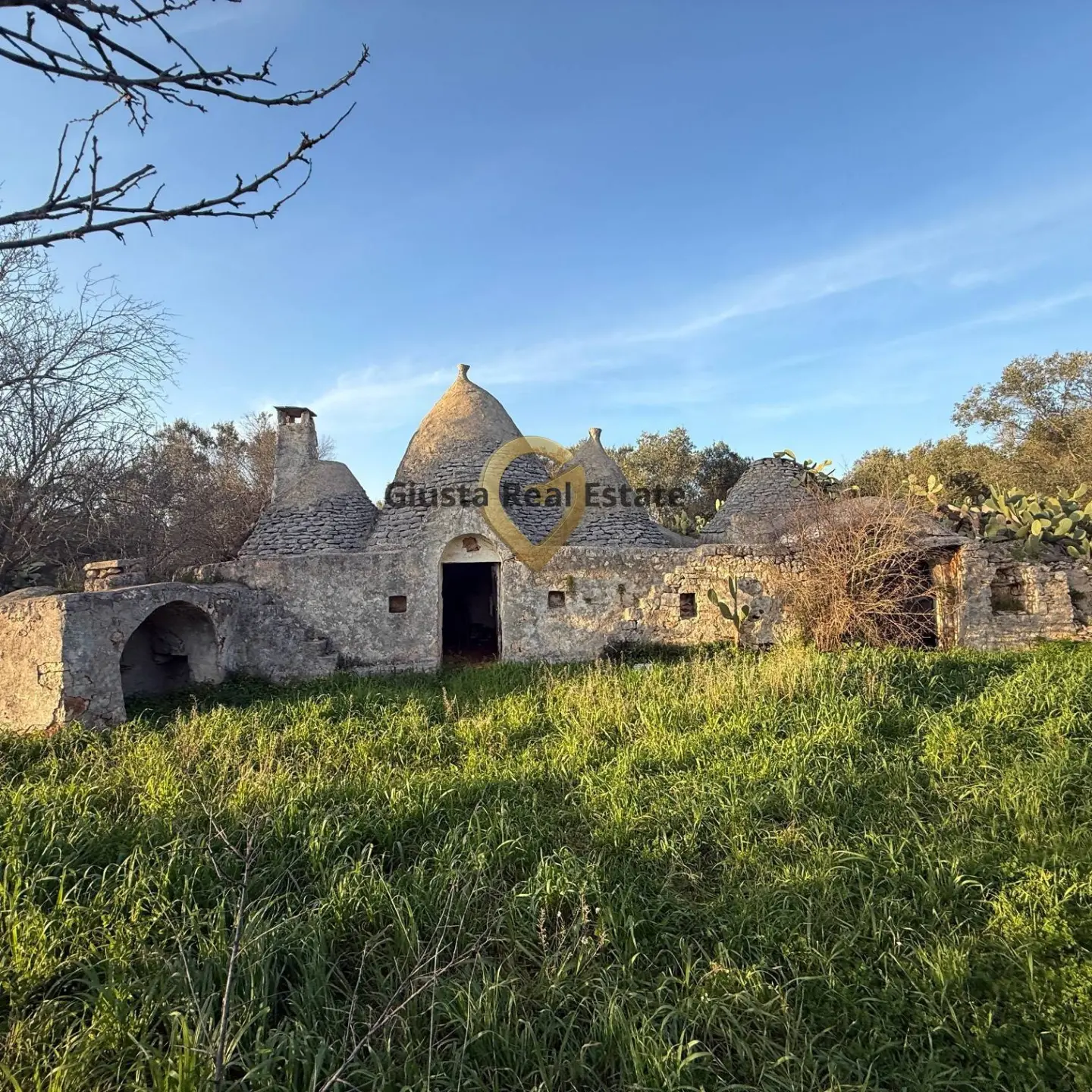 Immagine per Appartamento in vendita a San Michele Salentino Contrada Sardella 