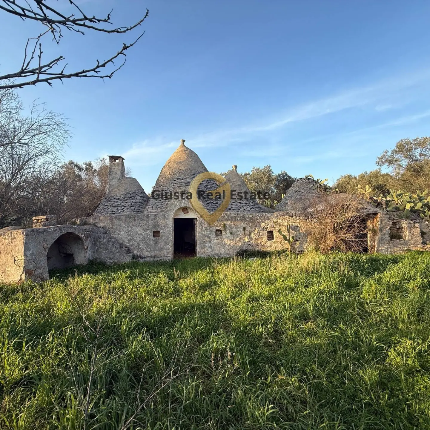 Immagine per Appartamento in vendita a San Michele Salentino Contrada Sardella 