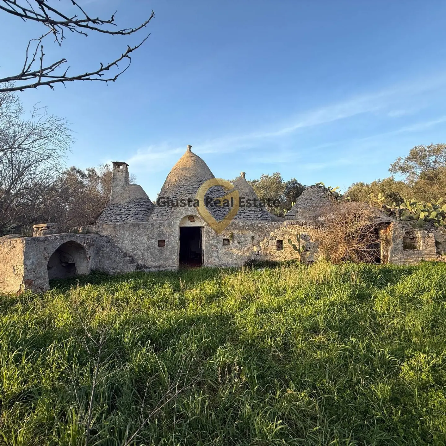 Immagine per Appartamento in vendita a San Michele Salentino Contrada Sardella 