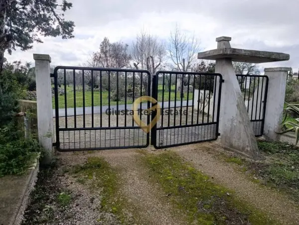Terreno Agricolo via Contrada Santa Caterina Sn, San Vito Dei Normanni