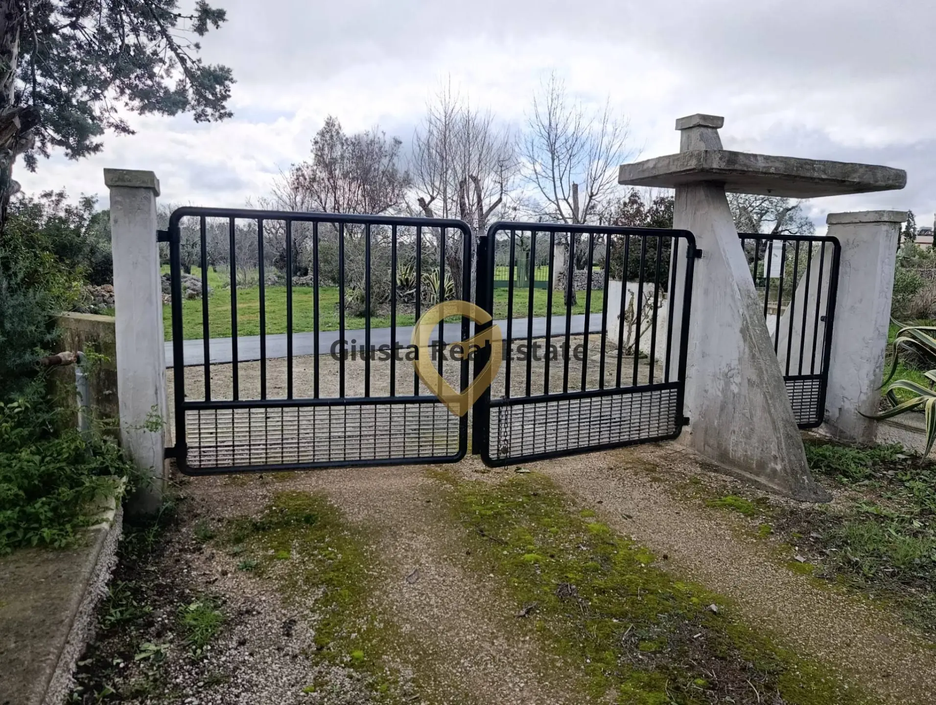 Immagine per Terreno Agricolo in vendita a San Vito dei Normanni Contrada Santa Caterina sn