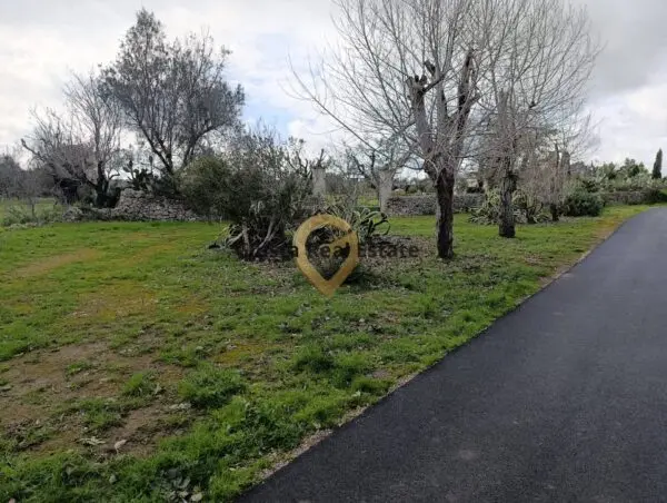 Terreno Agricolo via Contrada Santa Caterina Sn, San Vito Dei Normanni