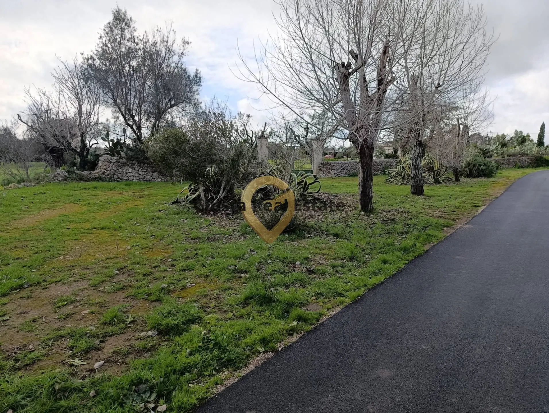Immagine per Terreno Agricolo in vendita a San Vito dei Normanni Contrada Santa Caterina sn