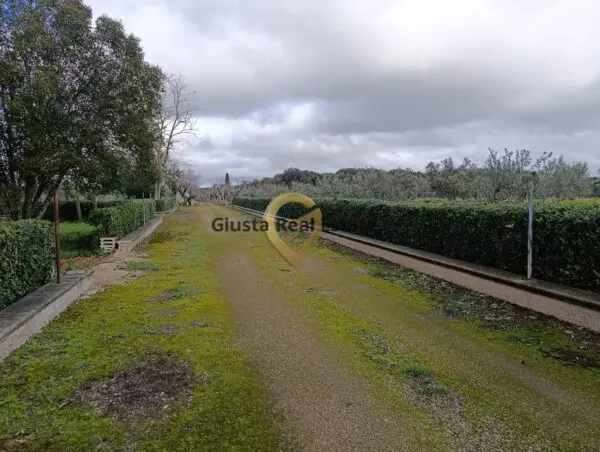 Terreno Agricolo via Contrada Santa Caterina Sn, San Vito Dei Normanni