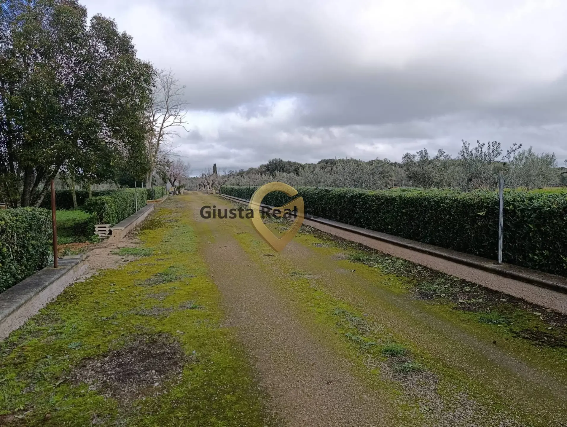 Immagine per Terreno Agricolo in vendita a San Vito dei Normanni Contrada Santa Caterina sn