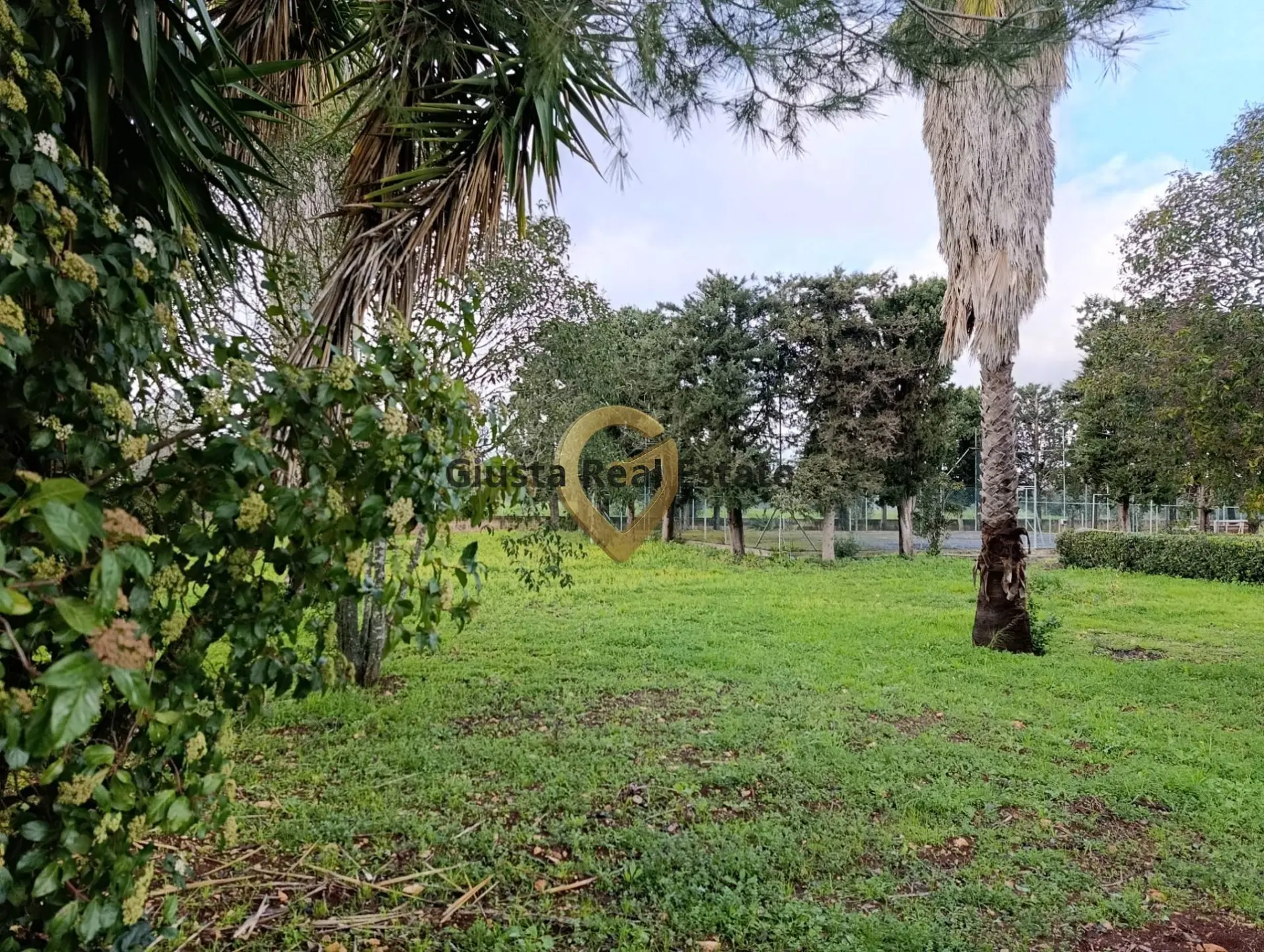 Immagine per Terreno Agricolo in vendita a San Vito dei Normanni Contrada Santa Caterina sn