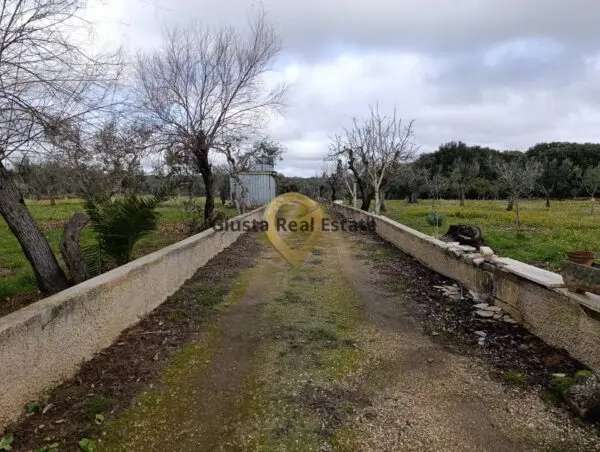 Terreno Agricolo via Contrada Santa Caterina Sn, San Vito Dei Normanni