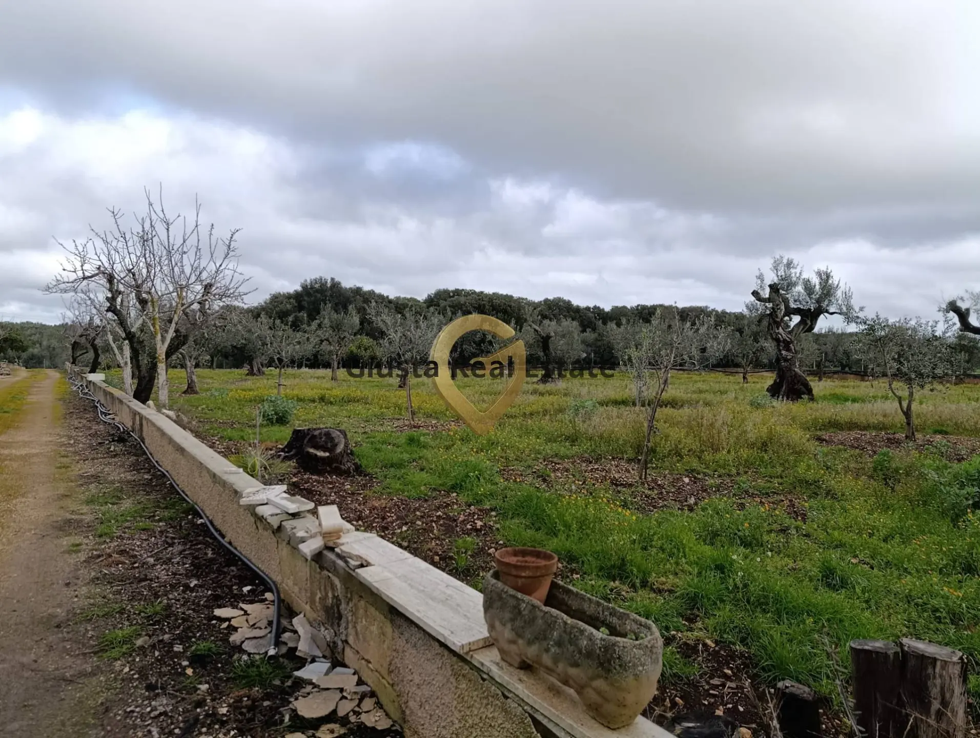 Immagine per Terreno Agricolo in vendita a San Vito dei Normanni Contrada Santa Caterina sn