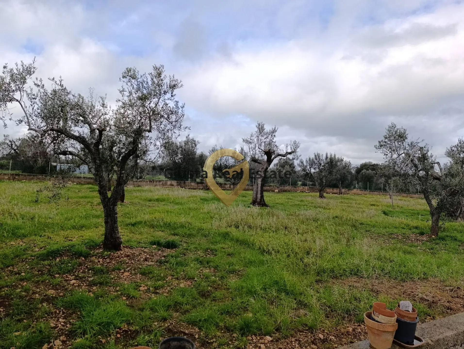 Immagine per Terreno Agricolo in vendita a San Vito dei Normanni Contrada Santa Caterina sn