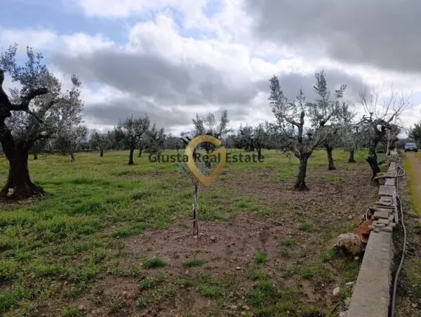 Terreno Agricolo via Contrada Santa Caterina Sn, San Vito Dei Normanni