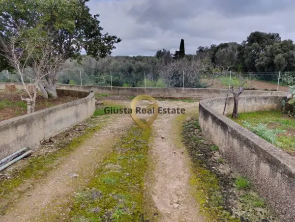 Terreno Agricolo via Contrada Santa Caterina Sn, San Vito Dei Normanni