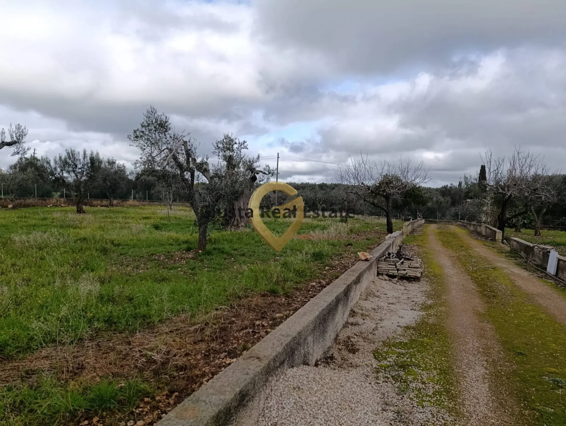 Immagine per Terreno Agricolo in vendita a San Vito dei Normanni Contrada Santa Caterina sn