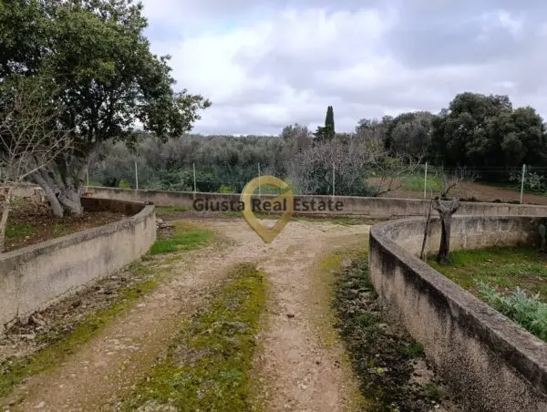 Terreno Agricolo via Contrada Santa Caterina Sn, San Vito Dei Normanni