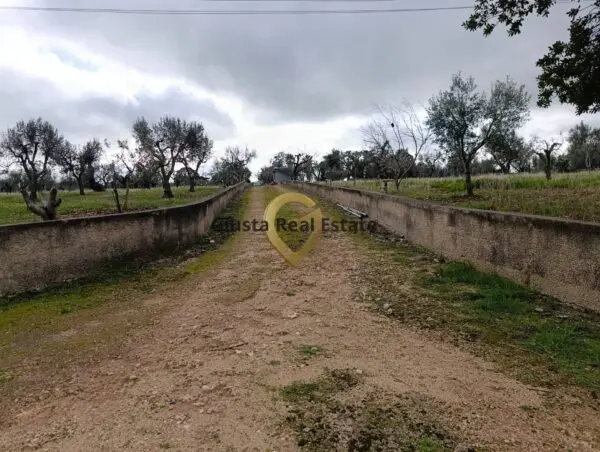Terreno Agricolo via Contrada Santa Caterina Sn, San Vito Dei Normanni