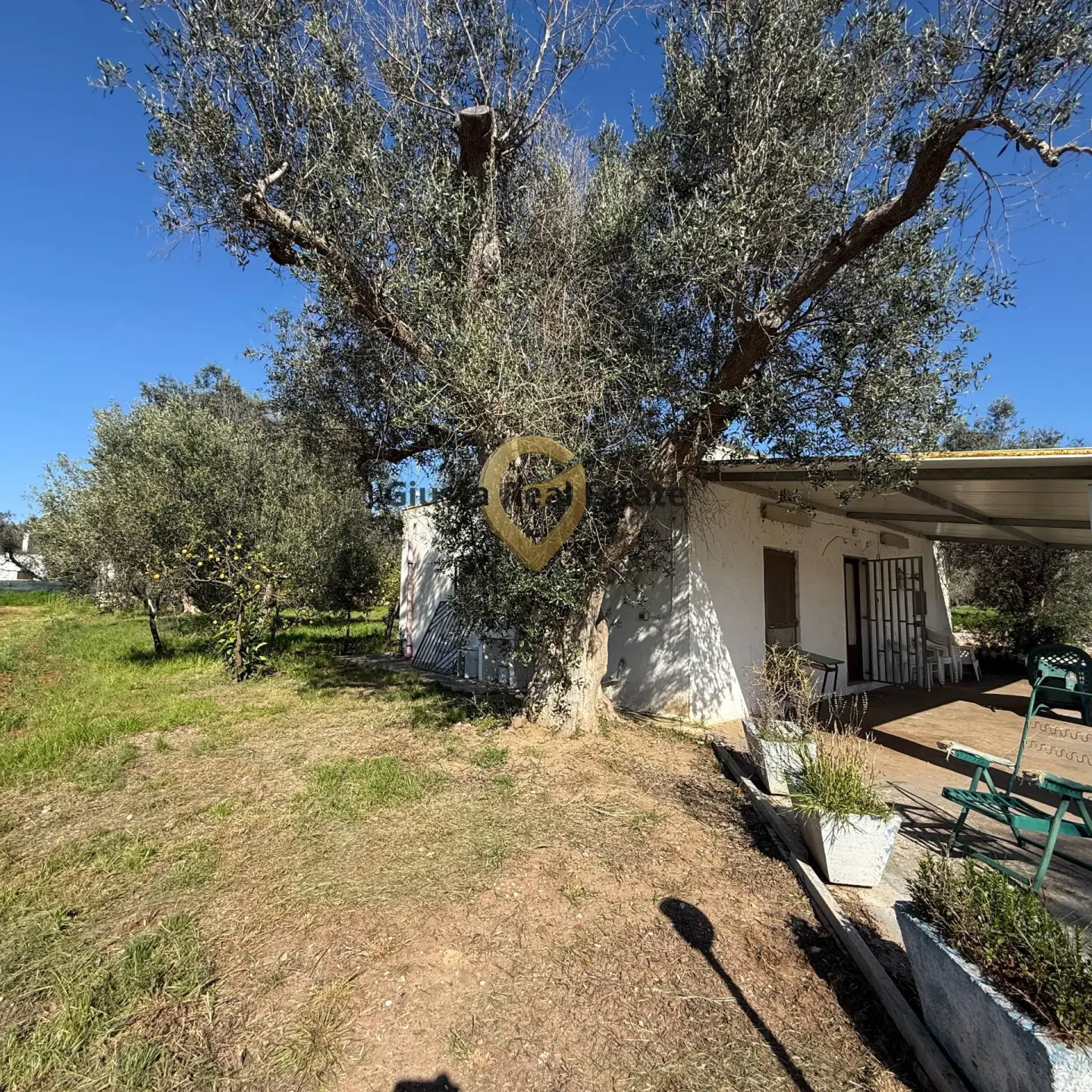 Immagine per Villa in vendita a Latiano Contrada Tanusci 