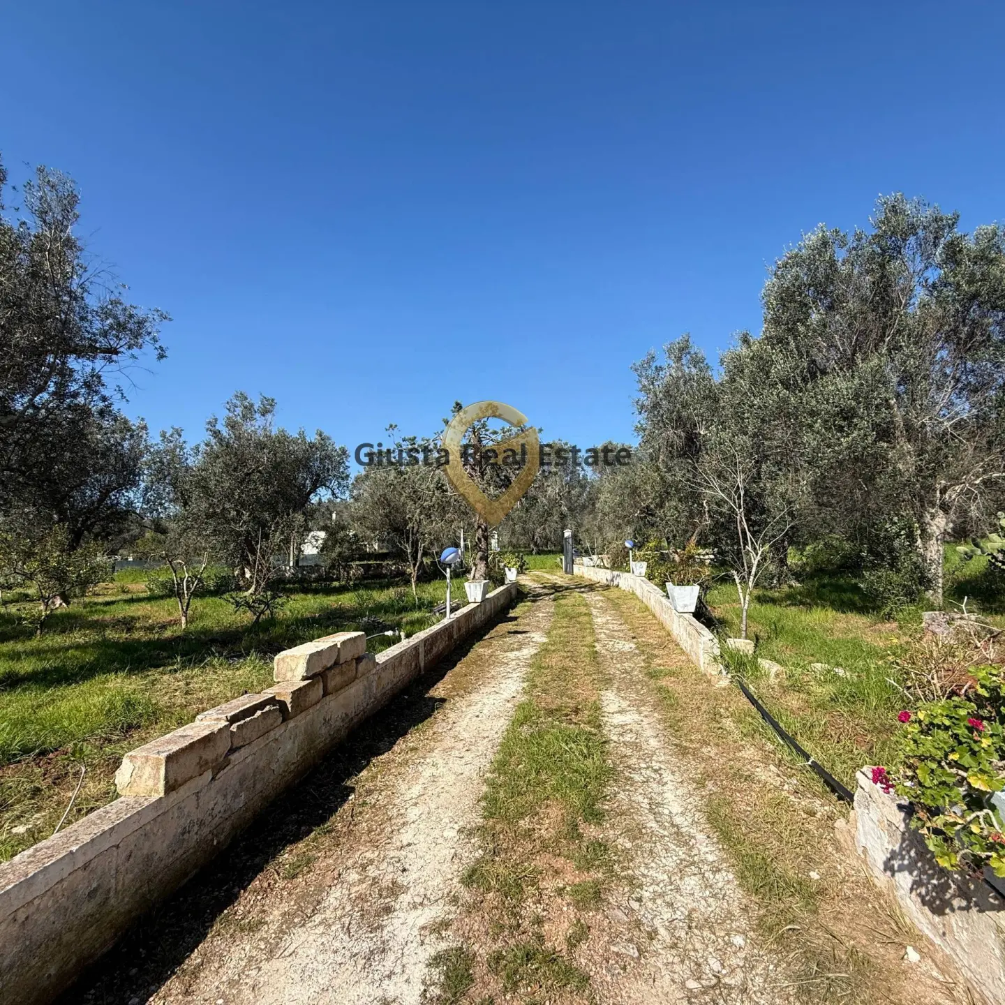 Immagine per Villa in vendita a Latiano Contrada Tanusci 