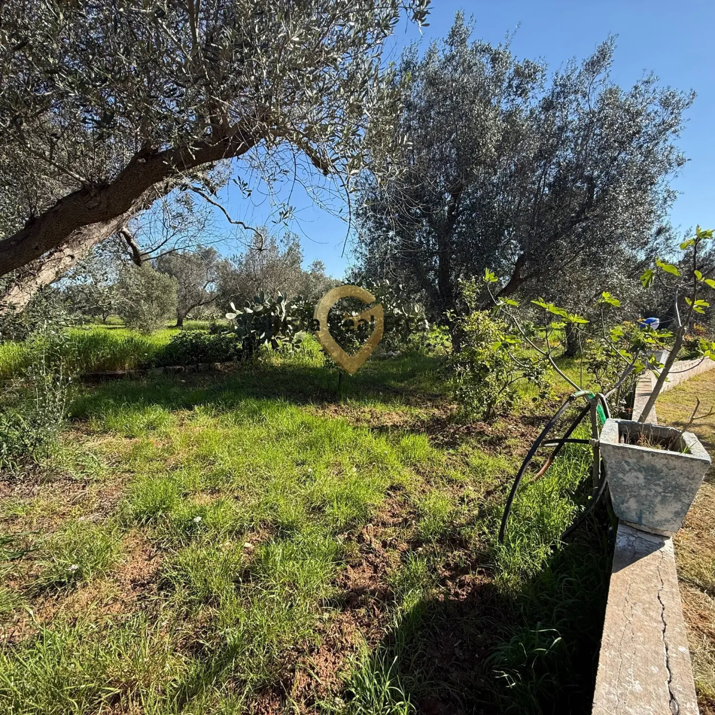 Immagine per Villa in vendita a Latiano Contrada Tanusci 