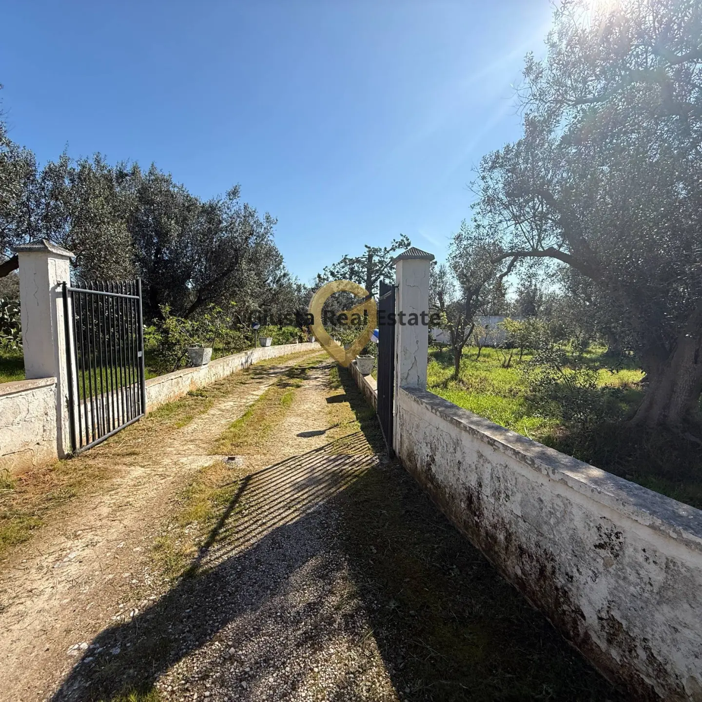 Immagine per Villa in vendita a Latiano Contrada Tanusci 