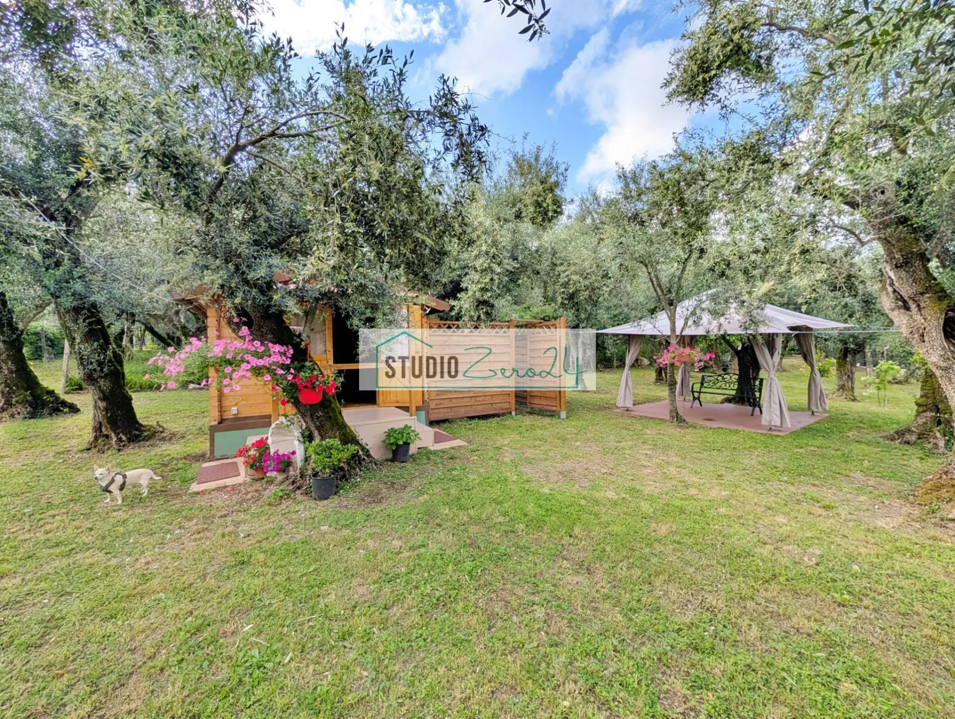 Immagine per Rustico/Casale in vendita a Seravezza Via Cristoforo Colombo 