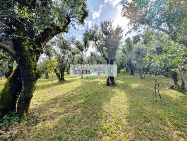 Rustico/Casale via Cristoforo Colombo, Seravezza