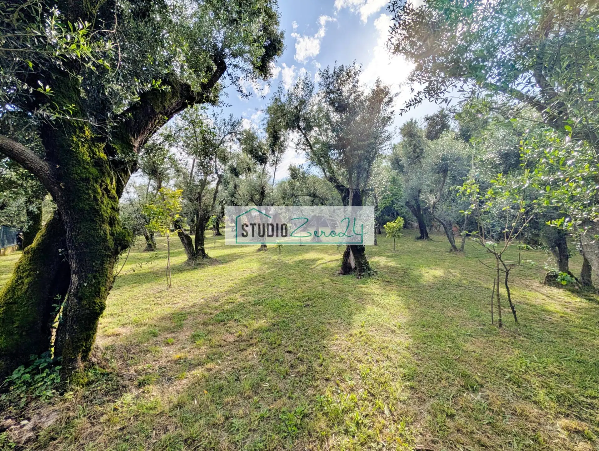 Immagine per Rustico/Casale in vendita a Seravezza Via Cristoforo Colombo 