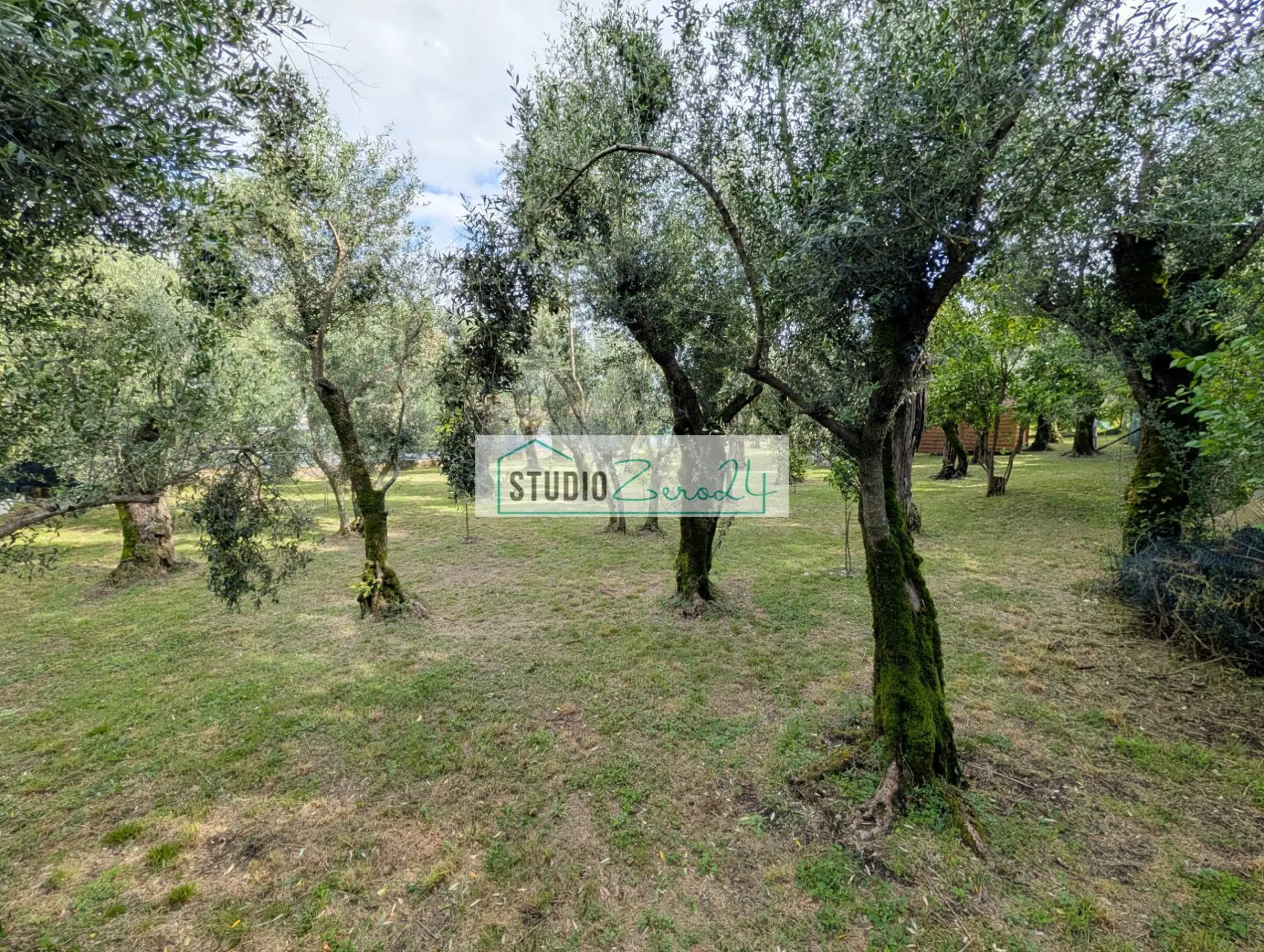 Immagine per Rustico/Casale in vendita a Seravezza Via Cristoforo Colombo 