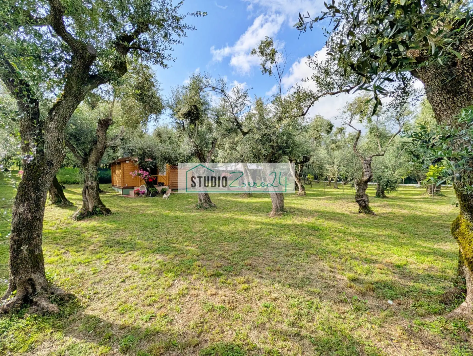 Immagine per Rustico/Casale in vendita a Seravezza Via Cristoforo Colombo 