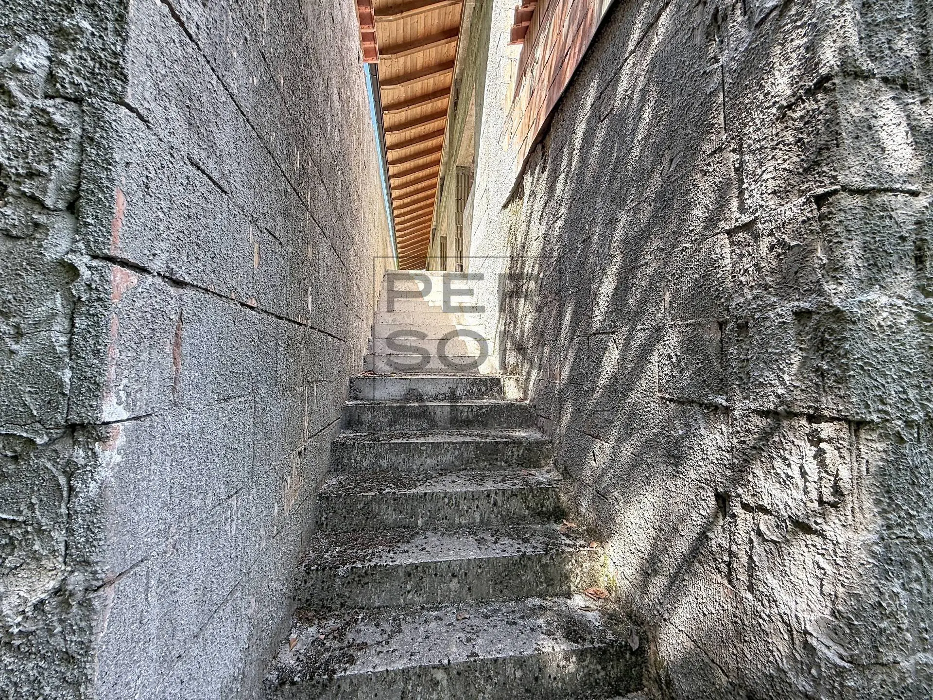 Immagine per Azienda Agricola in vendita a Trento  