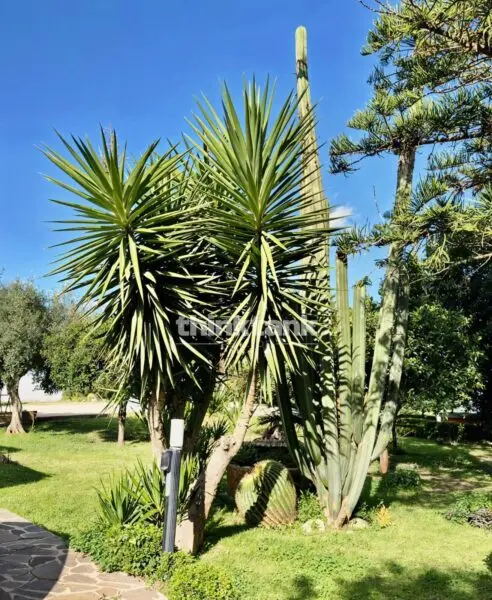 Villa via Elorina, Siracusa