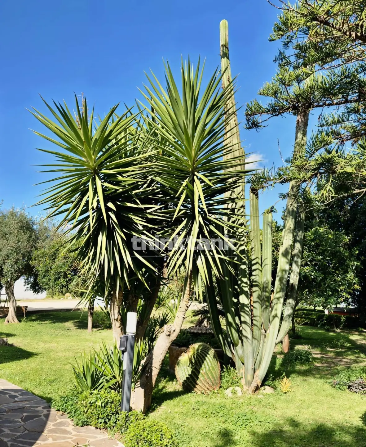 Immagine per Villa in vendita a Siracusa Via Elorina 